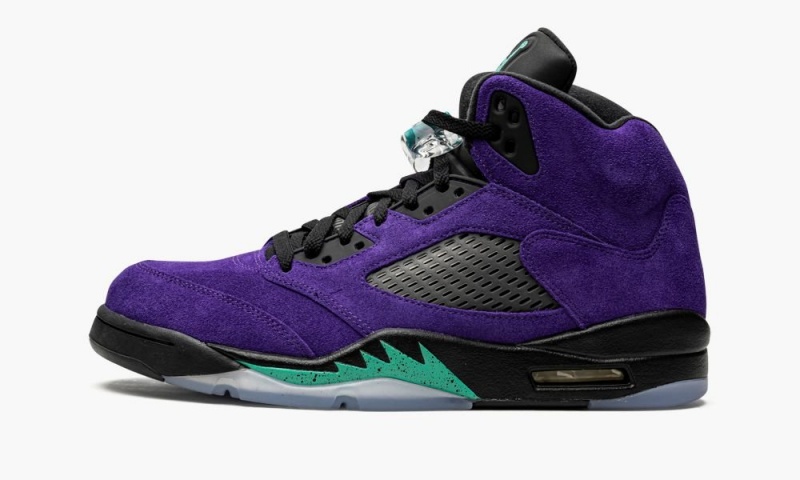 Nike Air Jordan 5 Retro \'Alternate Grape\' Mens Shoes Purple / Black | 872546-WTR